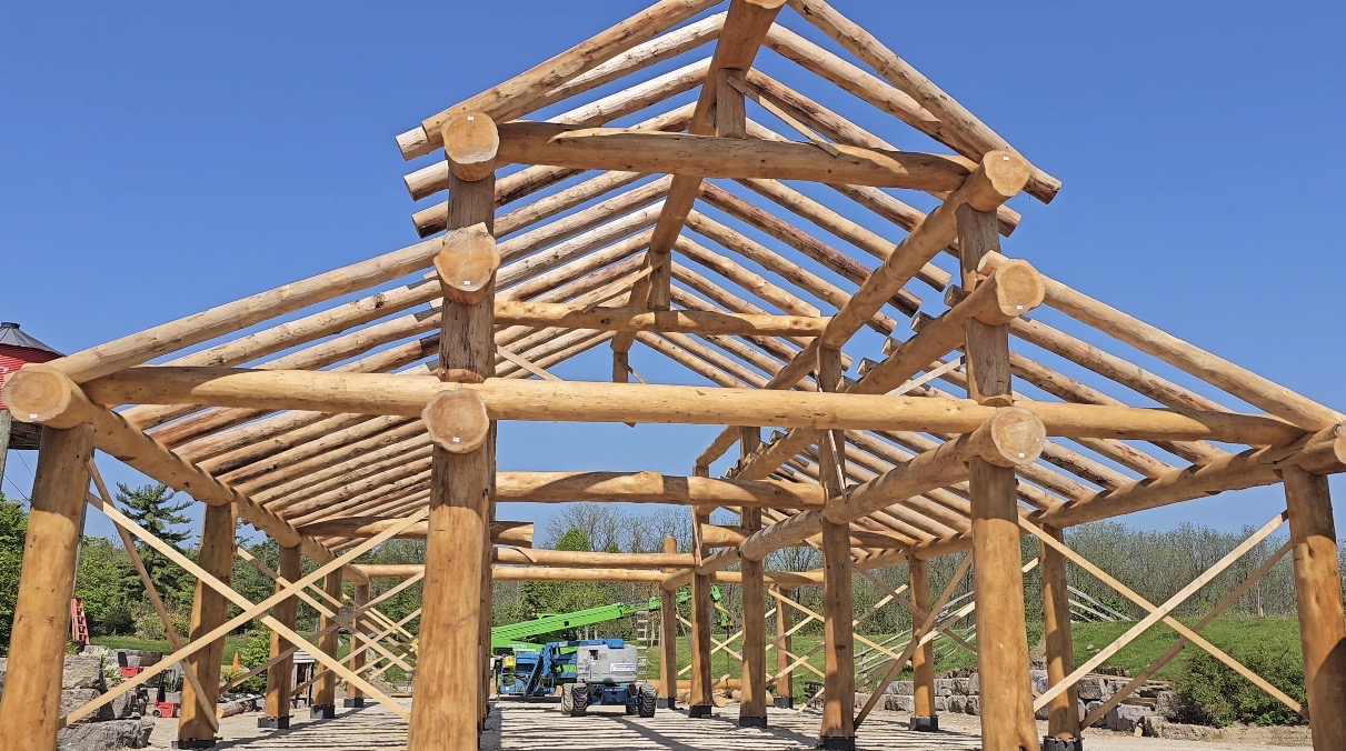 Hand-raised timber frame structure under blue sky